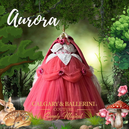 Princess dress sleeping beauty