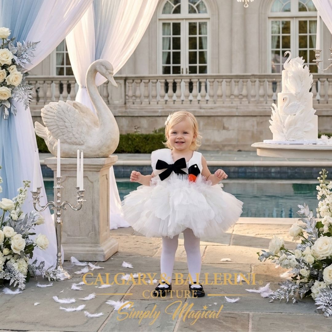 First Birthday Princess Dress