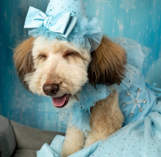 Princess Puppy Outfit