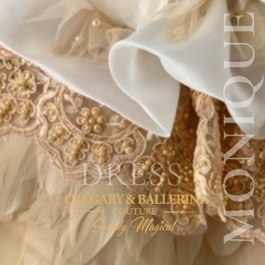 Gold Toddler Dress close up feather skirt
