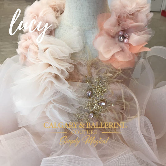 birthday dress ballerina tutu dress close up bodice