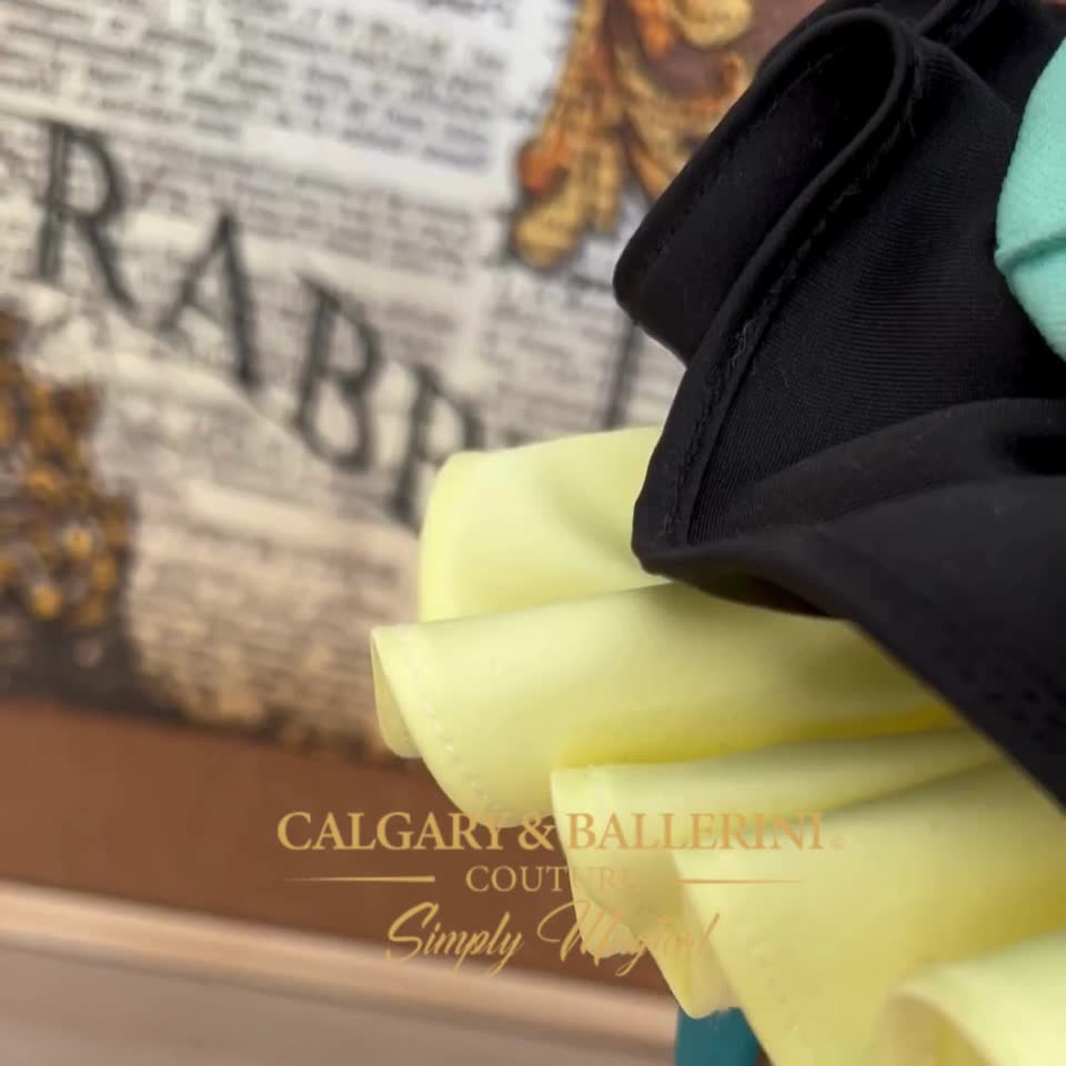 #tolstoy-video-preview-https%3A%2F%2Fvideos.gotolstoy.com%2Fpublic%2Fd1c0b1f4-5b7d-4d5c-a3d4-03f50eeab80c%2F43b57da1-2b83-4f89-b49d-1ccce7cab9f1%2F43b57da1-2b83-4f89-b49d-1ccce7cab9f1.mp4