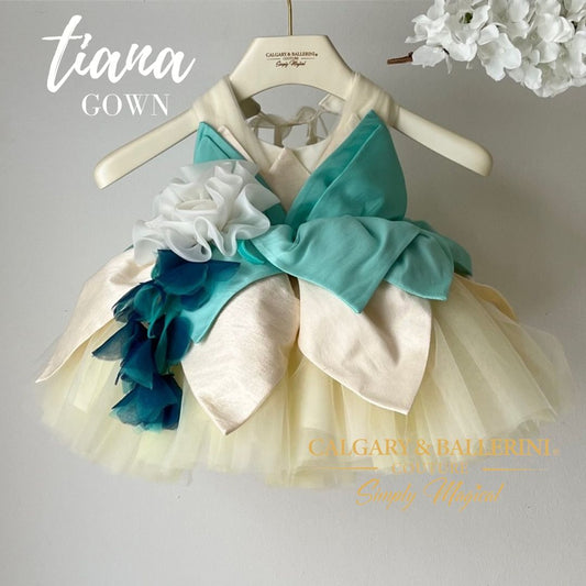 Princess Tiana Inspired Birthday Dresses for Young Princesses