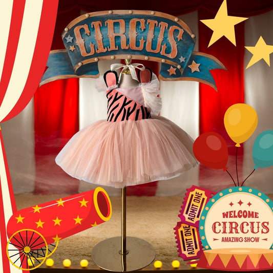 Where to Buy the Most Expensive Vintage Circus Party Animal Birthday Dress 2026