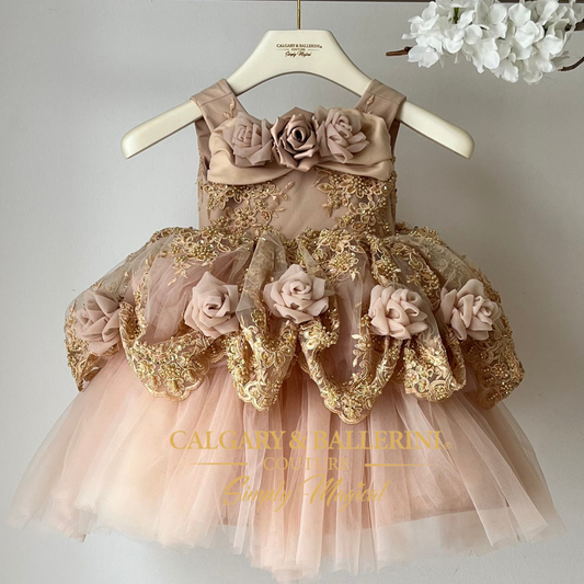 1st Birthday Party Dress