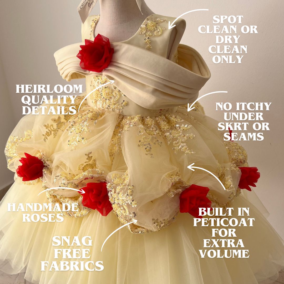 Princess Dress for Girls Golden Rose Costume Calgary and Ballerini