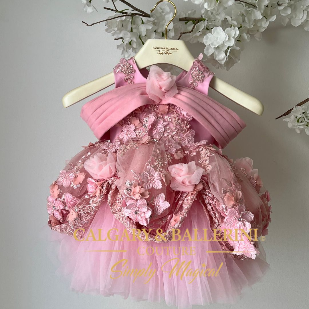 First Birthday Dress (Ages 1–3 yrs) |  Kids Belle in Pink FINAL SALE COUTURE