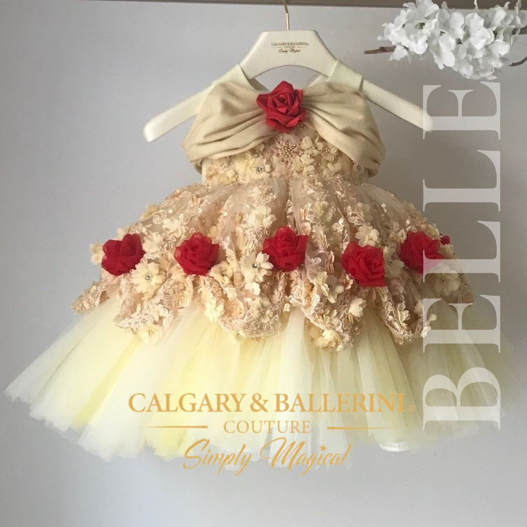 belle princess dress  |  dress of princess belle |   Belle Costume