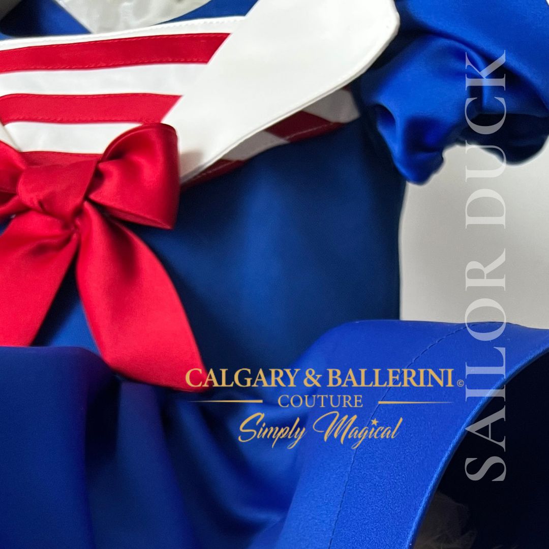 close up nautical sailor blue satin and red bow 