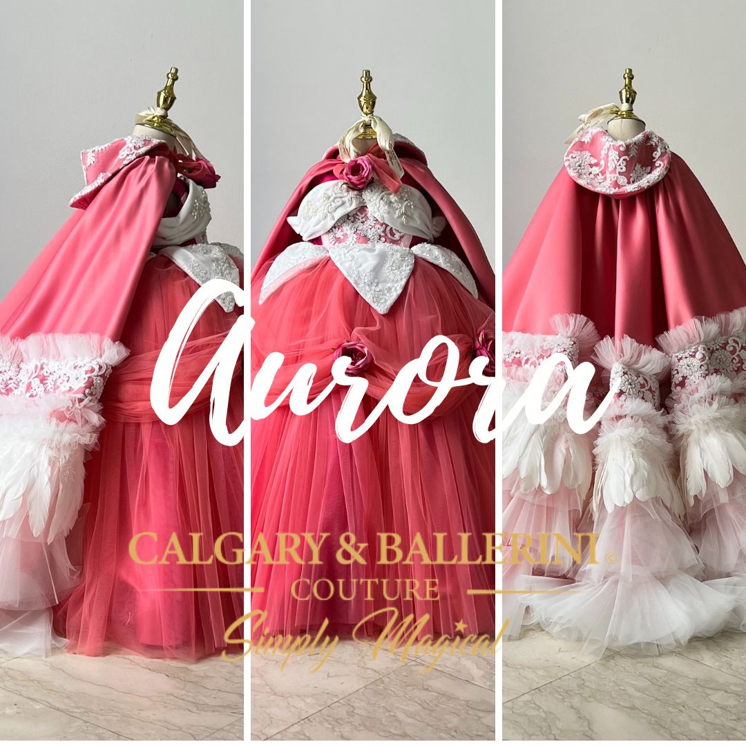 Princess Aurora Costume 