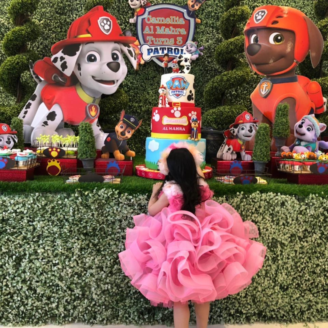 Shop Couture Princess Birthday Dresses for Girls Candy Pink 2