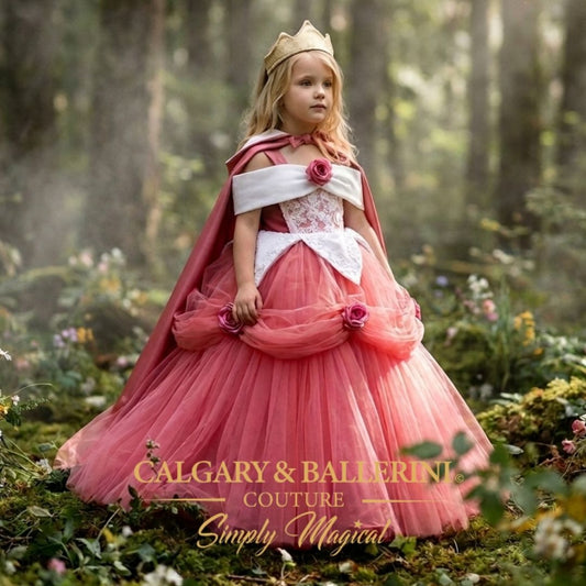 Pink Sleeping Beauty Princess Dress