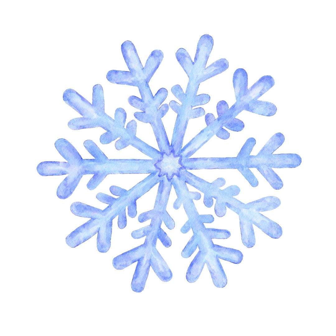 Snow Flake Dress
