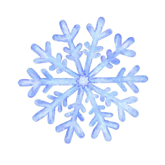 Snow Flake Dress