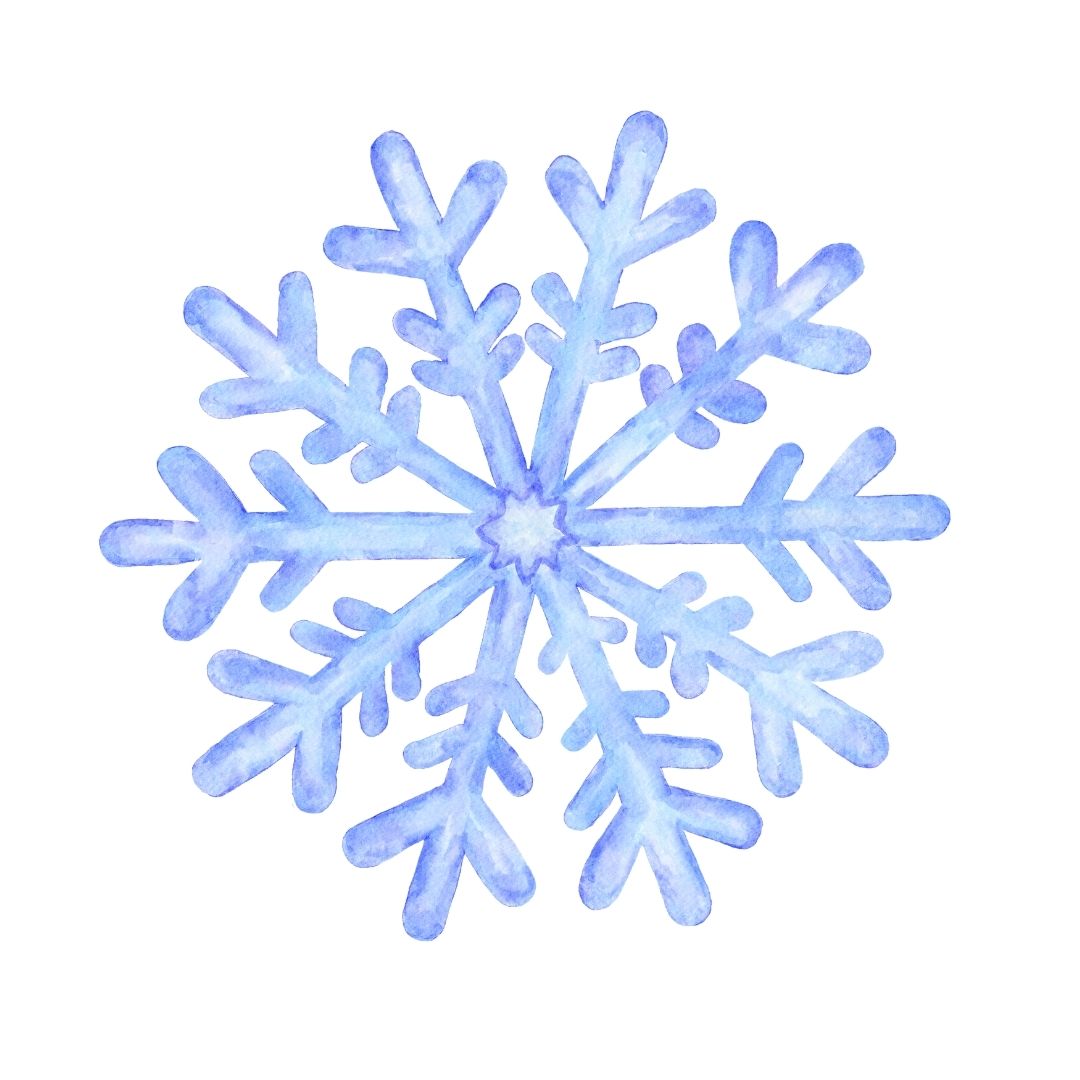 Snow Flake Dress