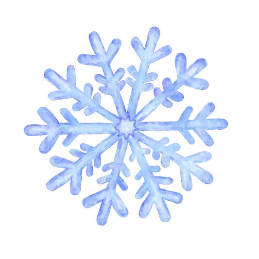 Snow Flake Dress