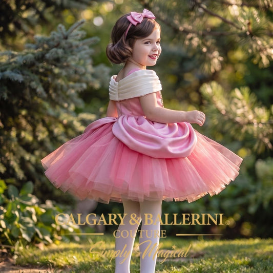Luxury Sleeping Beauty Princess Dress Baby Girls