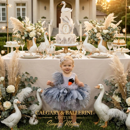 One Silly Goose Birthday Dress