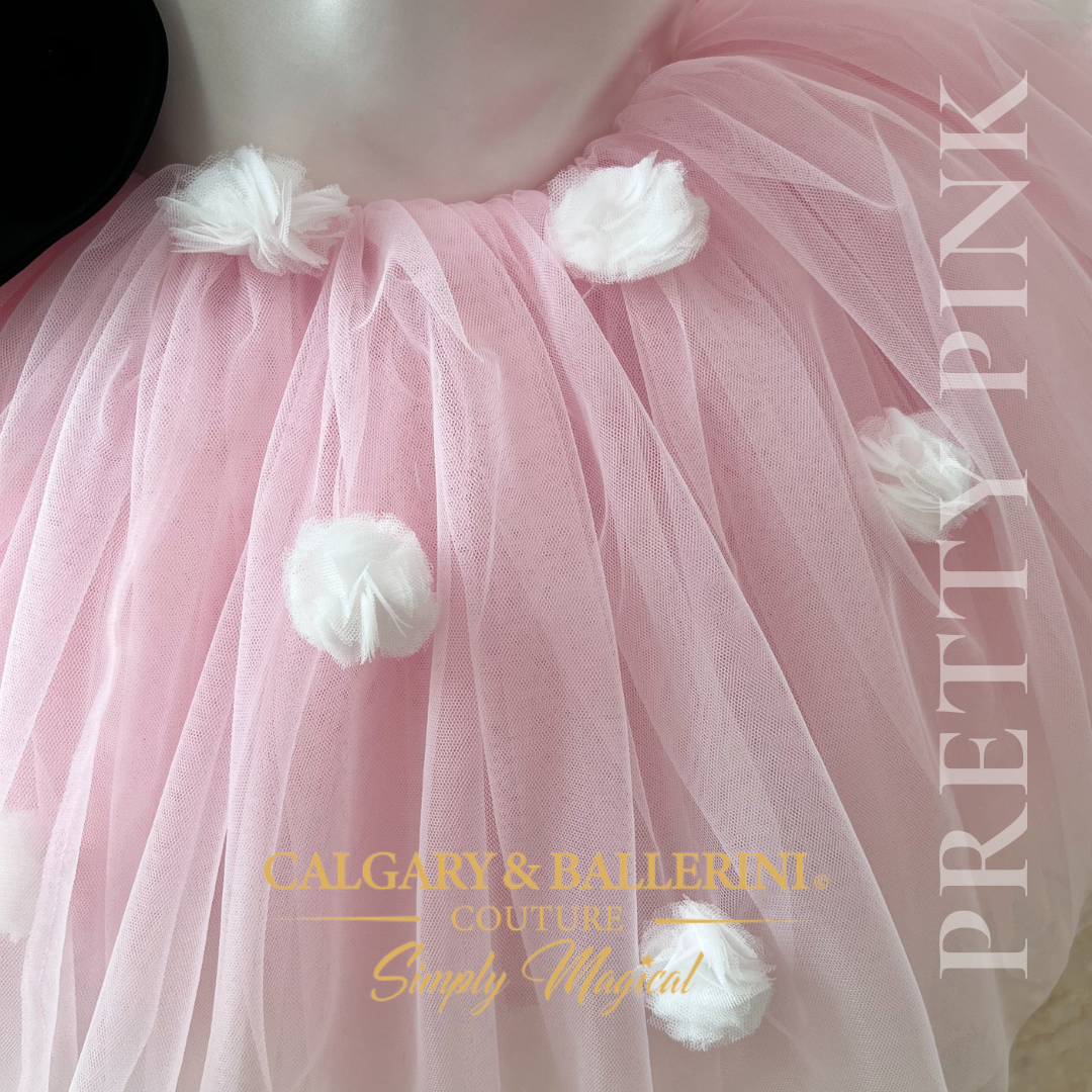 Pink mouse birthday dress