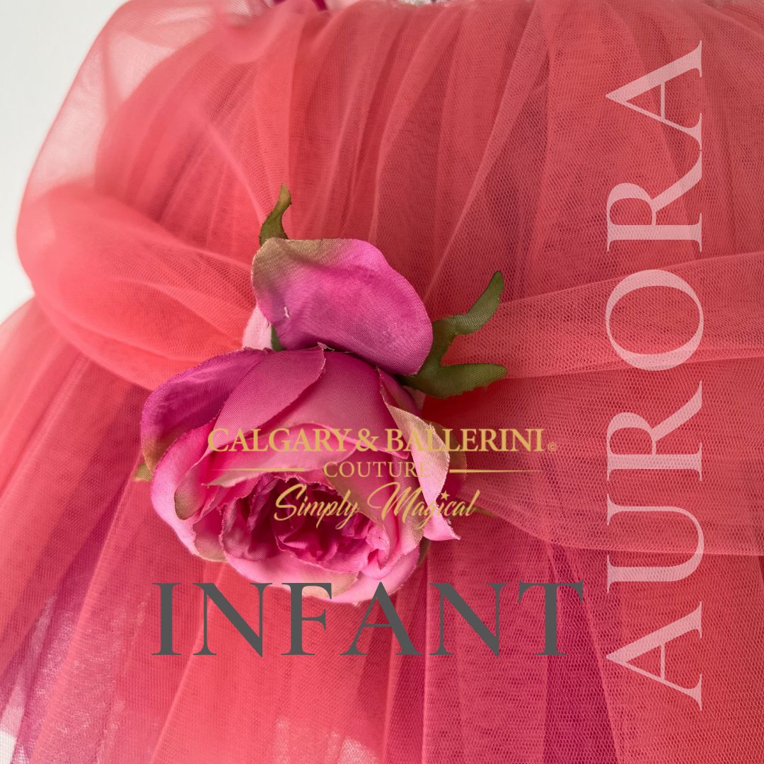 Pink rose princess dress baby