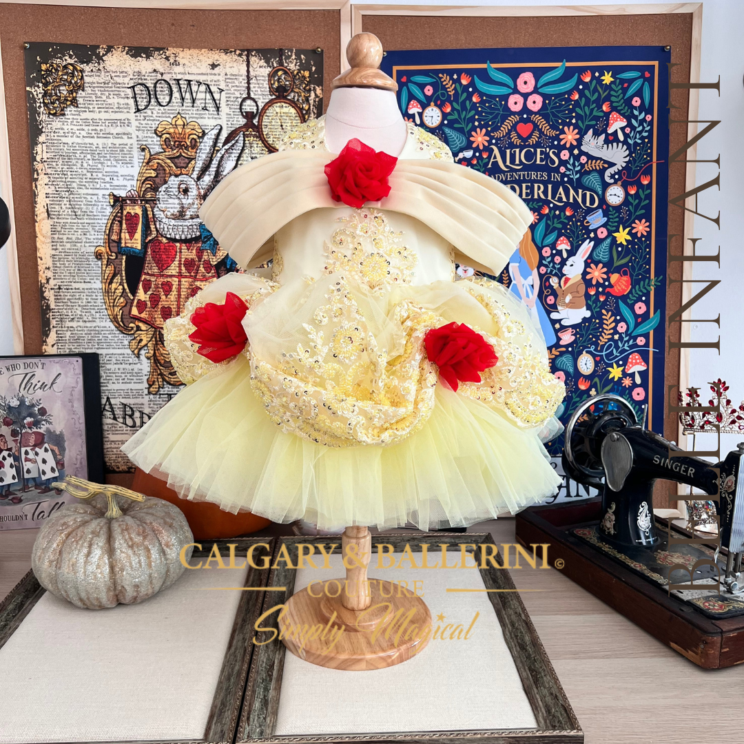 Infant Princess dress 