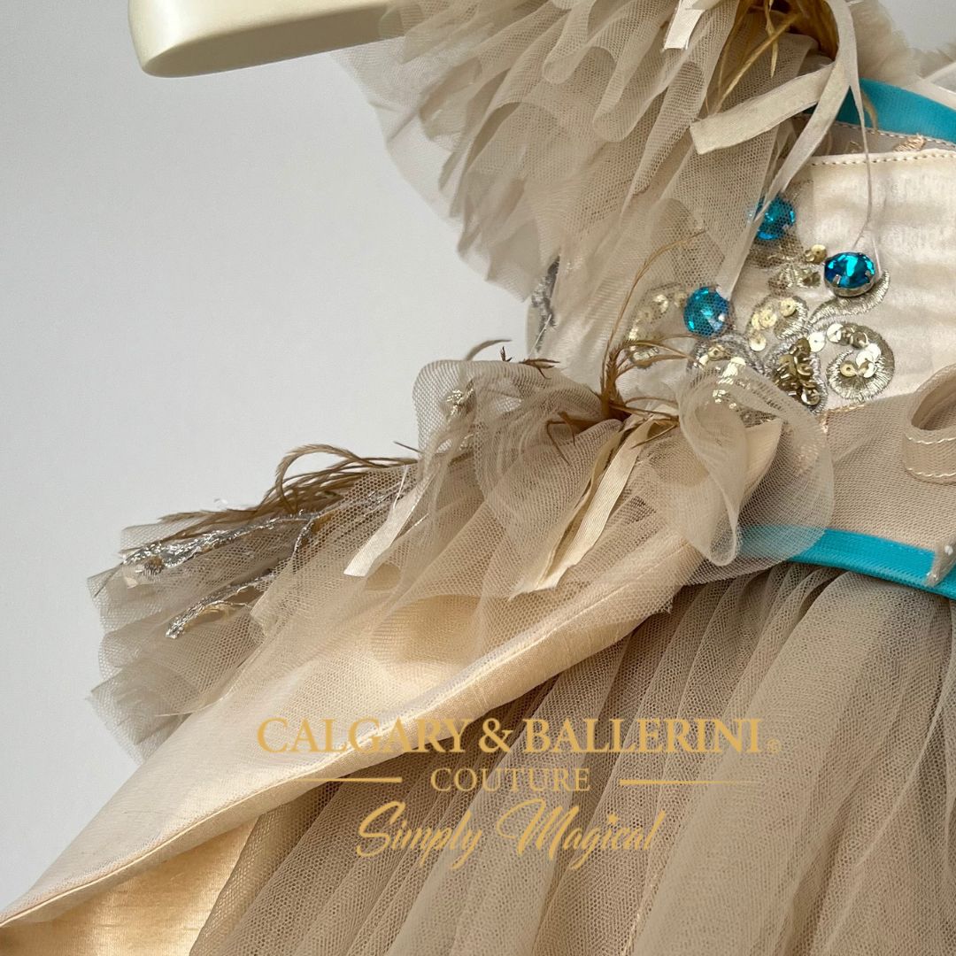 Rhinestone fringe cowgirl dress