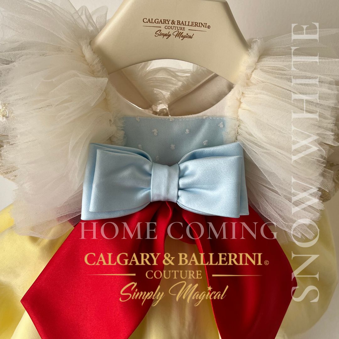 Where to Buy Luxury Snow White Take Me Home Outfit? 2026 Newborn 6 - 12 months Where to Buy Luxury Snow White Take Me Home Outfit? 2026 Newborn 6 - 12 months