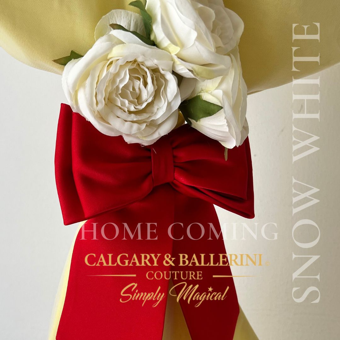 Order snow white infant costume 2026