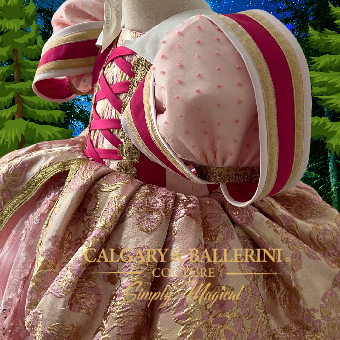 25M+ on TikTok Sleeping Beauty Girls Costume – Pink Gold