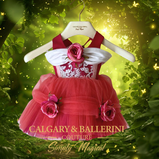 Sleeping beauty baby dress