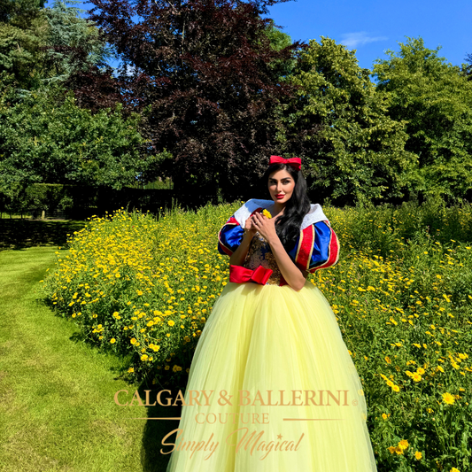 Snow white red dress