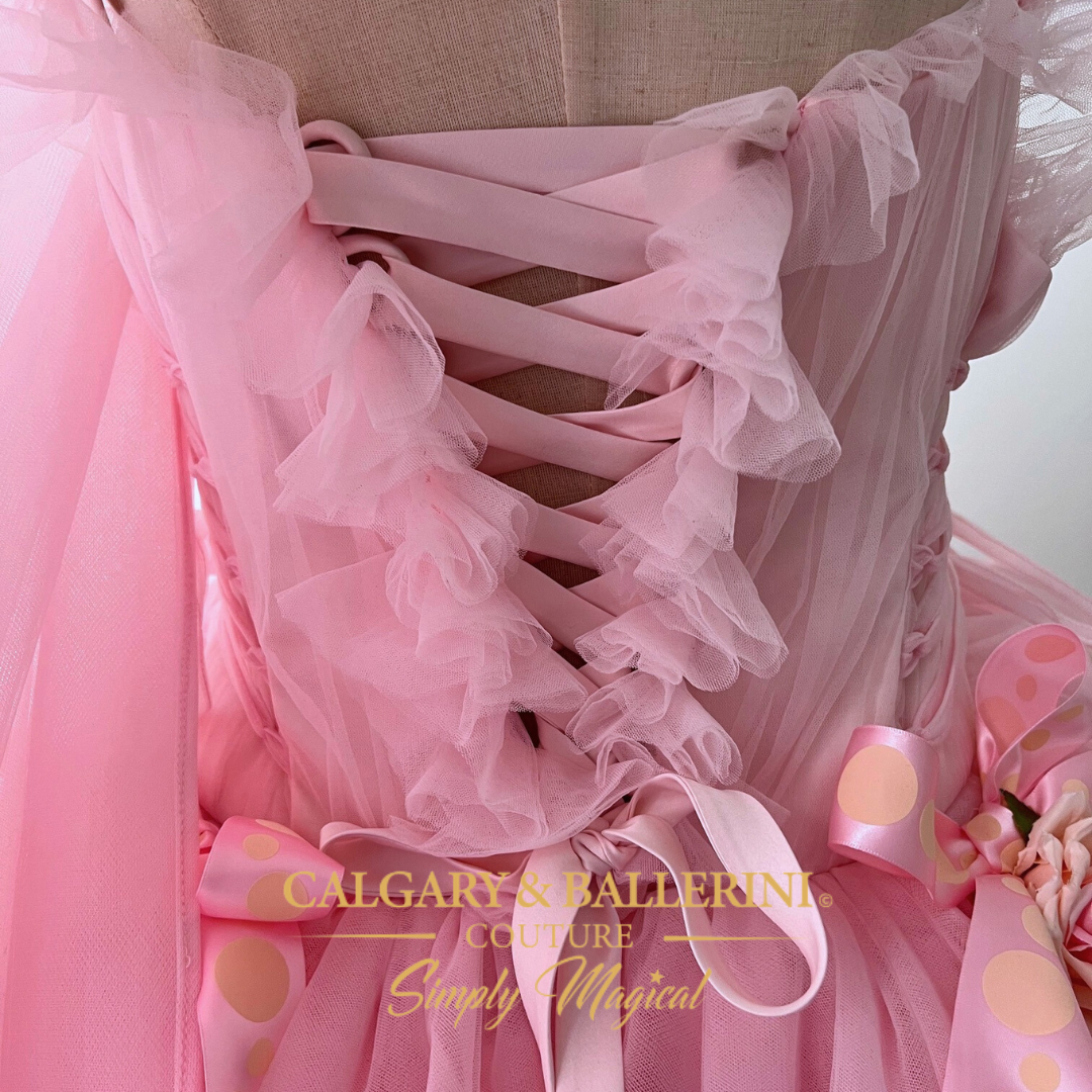 Luxury pink adult princess costume with a dramatic cape and stunning rose embellishments, designed for adults