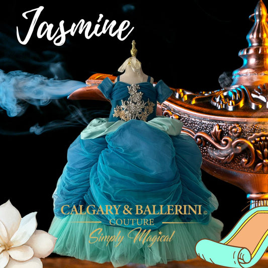 princess jasmine costume 