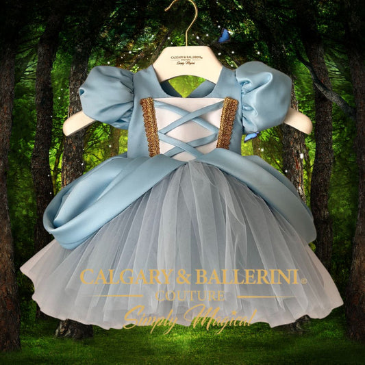 disney princess dresses for girls Light blue dress with gold accents on a hanger against a forest background, featuring 'Calgary & Ballerini' branding.