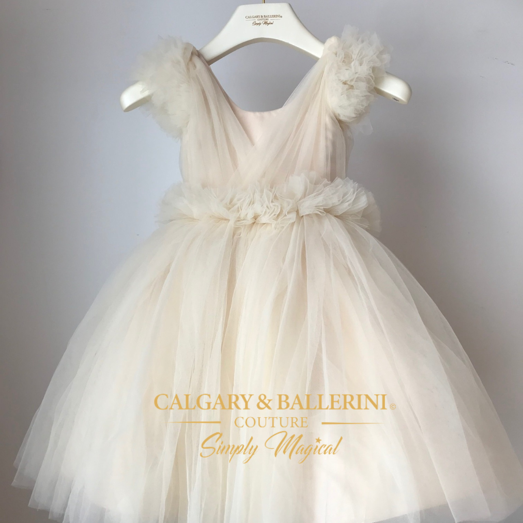 Baby Tulle Dress Birthday Outfit