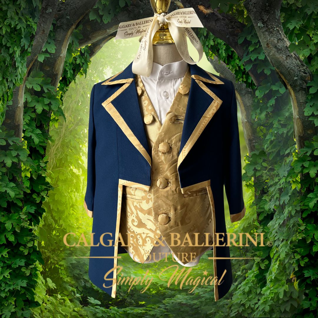 beauty and the beast prince costume