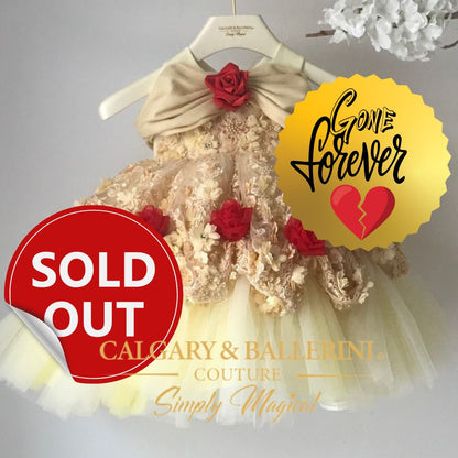 Enchanted Rose Gown - Loved by Moms Worldwide & Viral on TikTok💖