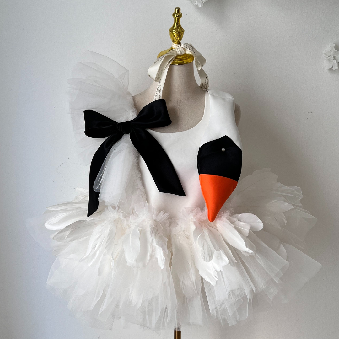 Shop Swan Dresses
