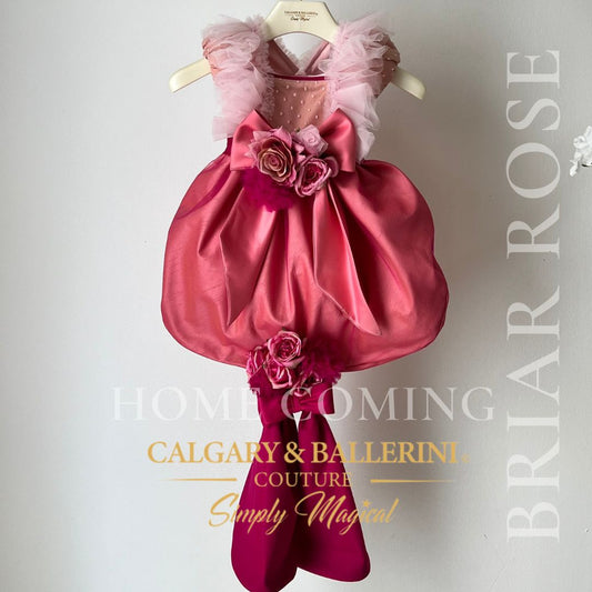 Coming Home Outfit  | Baby Princess Aurora Infant Dress 