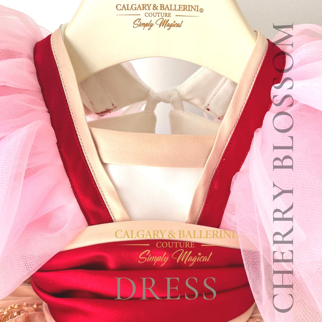Close up on hanger bodice with pink ruffle and red satin details 