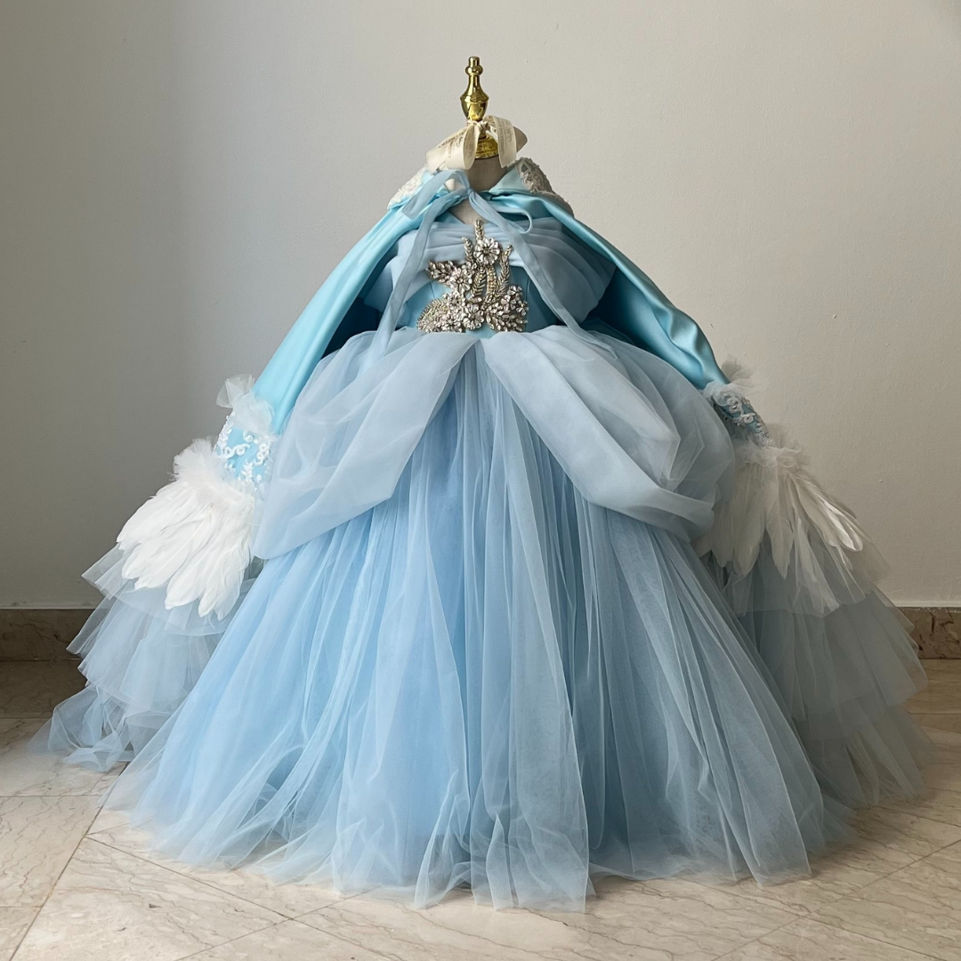 Cinderella princess ball gown with rhinestones