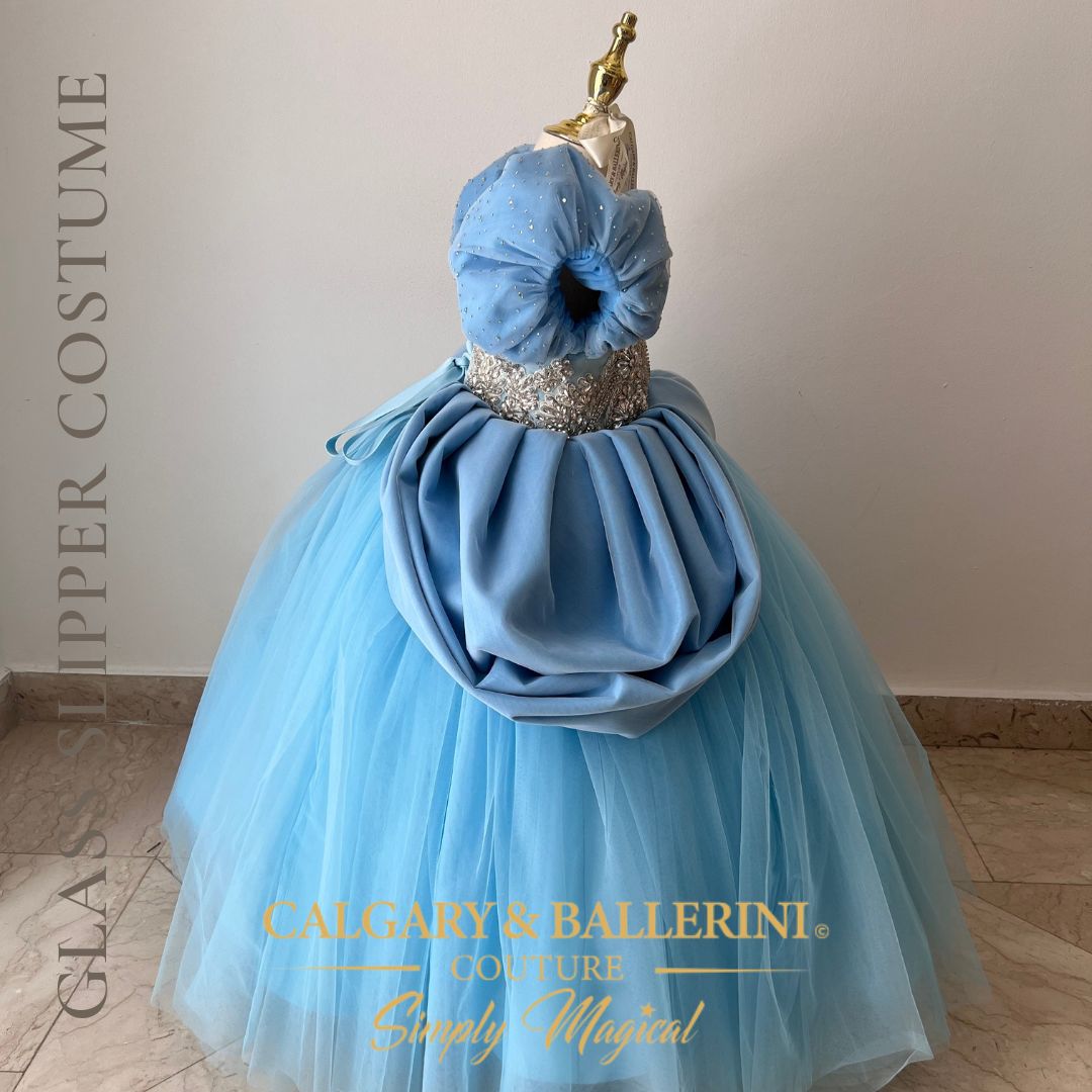 Cinderella divine dress for birthdays and special occasions