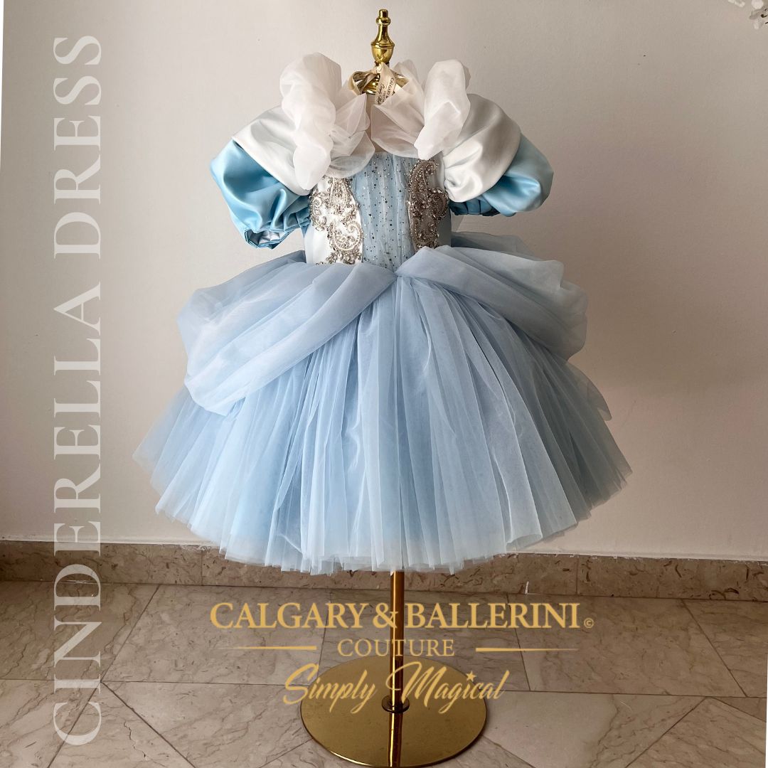 Disney princess dresses Kids costume Cinderella on mannequin 