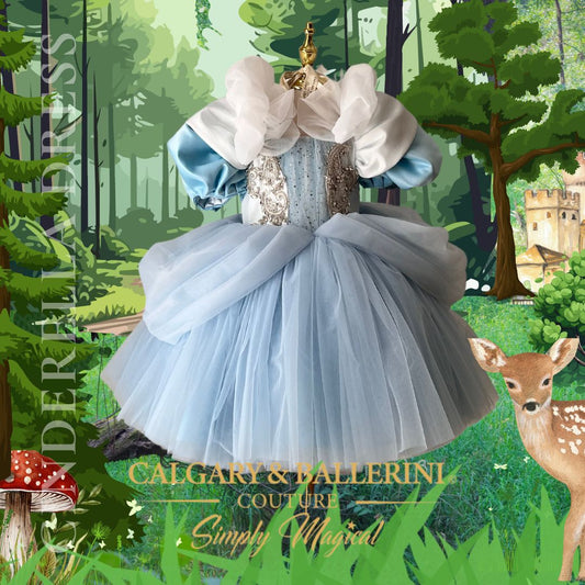 Kids costume Cinderella dress in woods background 