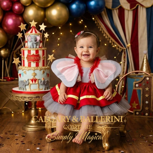 First Birthday Tutu Dress | Circus Elephant
