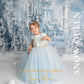 Buy disney princess dresses for girls Snow Queen Toddler Dress with Cape | Artisan Handmade Portrait-Grade Couture