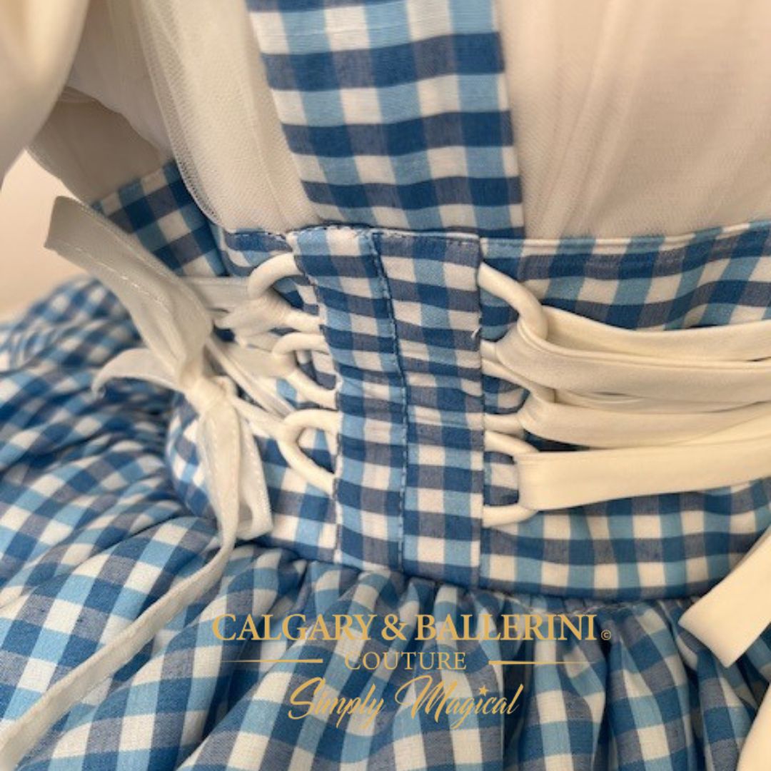 blue gingham dress dorothy Calgary and Ballerini