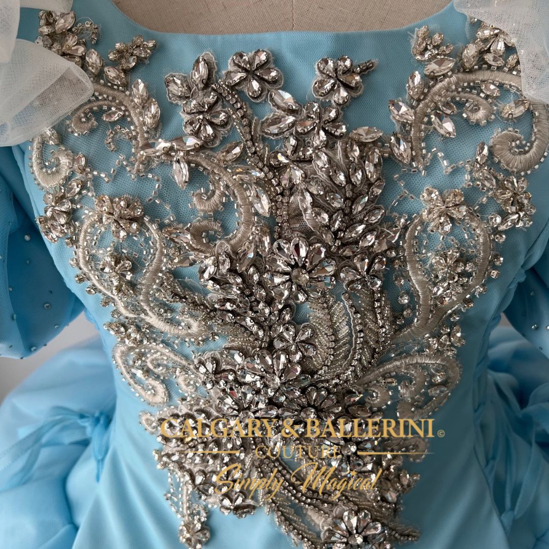 disney Cinderella adult princes dress 