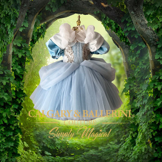 Buy disney princess dresses for girls Fantasy dress in a natural setting with 'Calgary & Ballerini' branding.