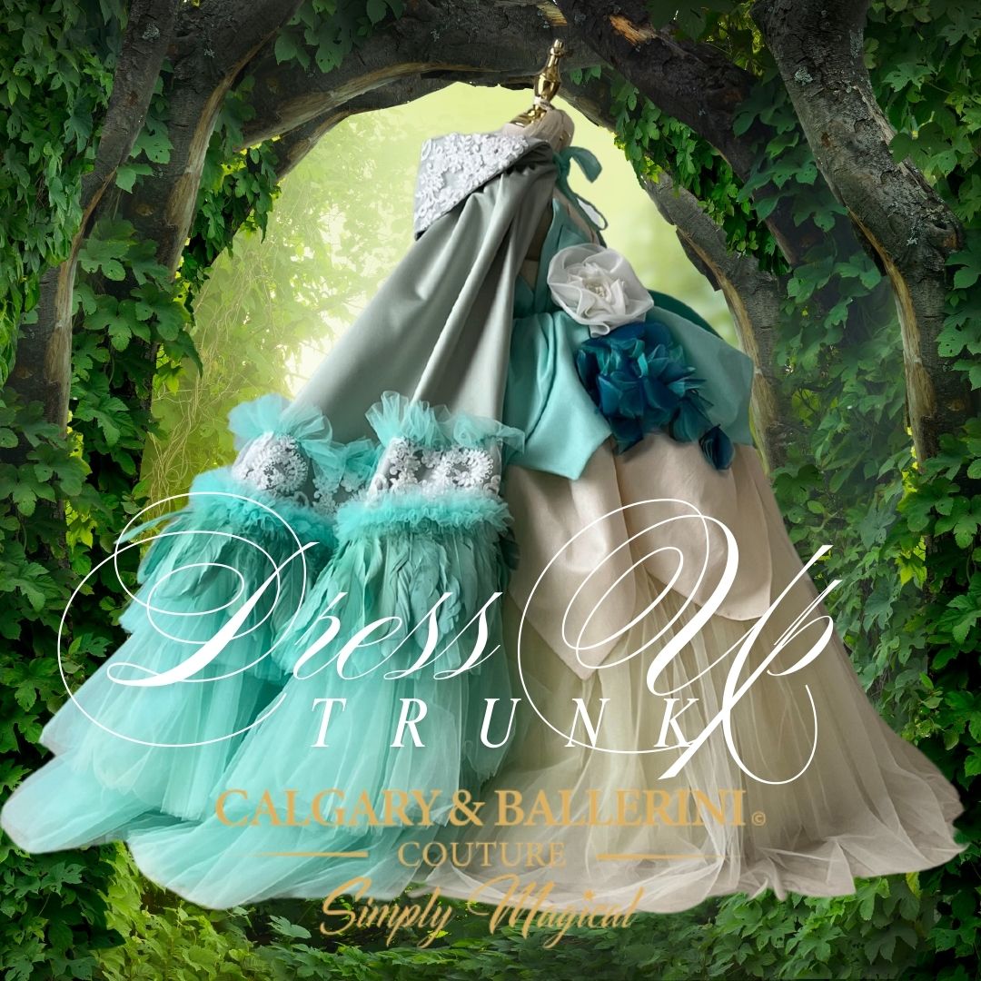 Shop The Trunk Collection Royal Suite Meet & Greet Gowns 12-18 M Shop The Trunk Collection Royal Suite Meet & Greet Gowns 12-18 M